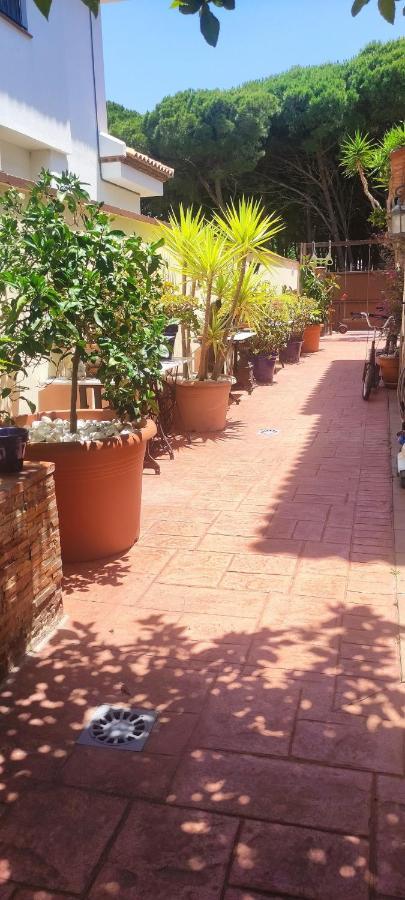 Chalet Con Capacidad Para 8 Personas ชิกลานา เด ลา ฟรอนเตรา ภายนอก รูปภาพ